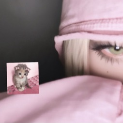 Lisita